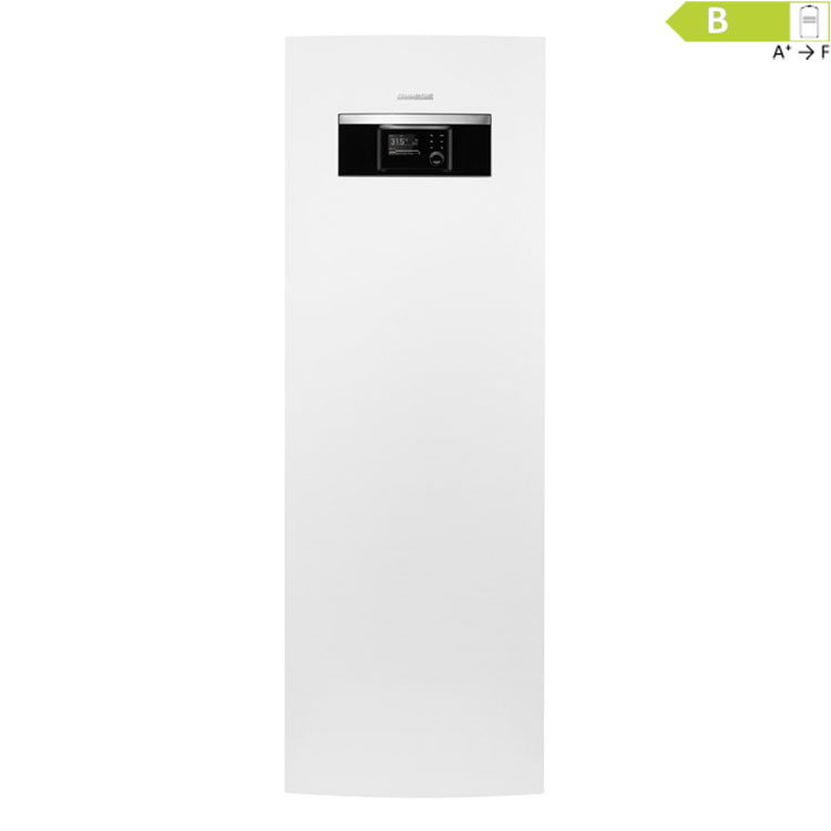 8738213443_01b Buderus Luft-Wasser-Wärmepumpe Logaplus-Paket WP-SP1 WLW-10 SP AR P3, WLW166-14 T190