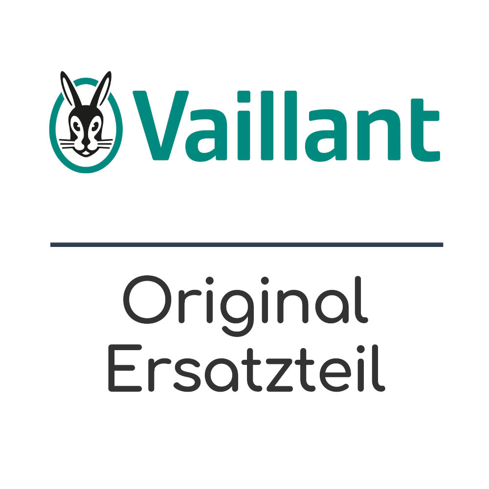 Vaillant Display 0020136628