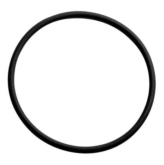 WOLF Dichtung Abgasrohr unten O-Ring 74x4mm, für CGB-2-38/55
