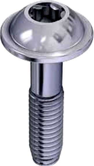 Wolf Schraube WN5152 60x12 für CGB-2 3490523