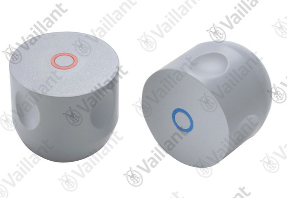 Vaillant Griff 280879
